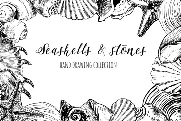 Download Seashells &amp; Stones Set - Set Collection