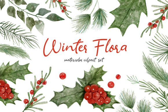 Download Winter Flora Watercolor Hand-drawn Set - Set Collection